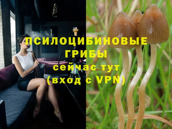 дмт Киреевск