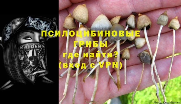 дмт Киреевск