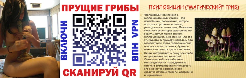 Купить  Нея  Псилоцибиновые грибы мицелий 